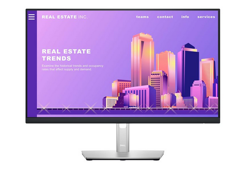 Dell Monitor 24" - P2422H