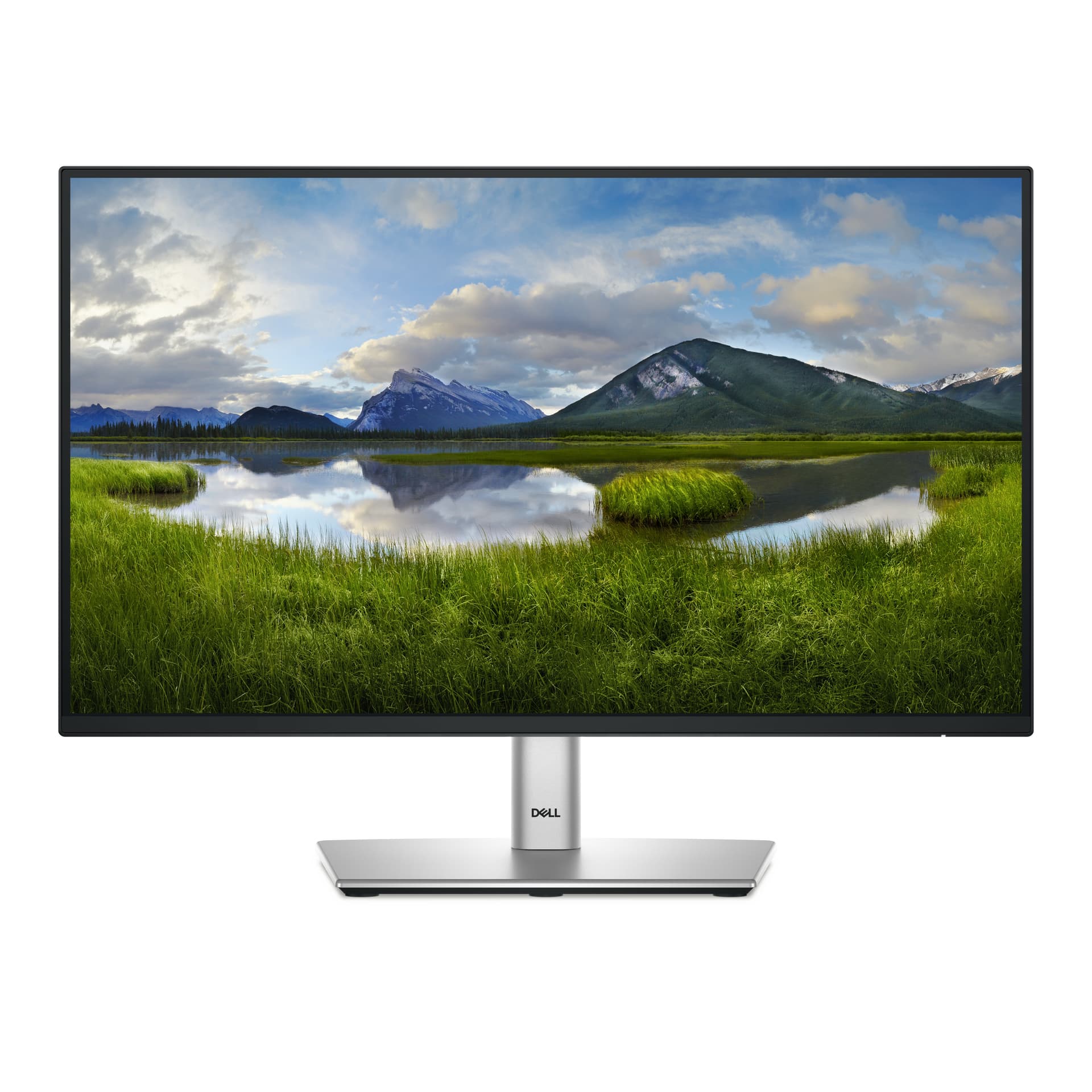 DELL P Series P2225H