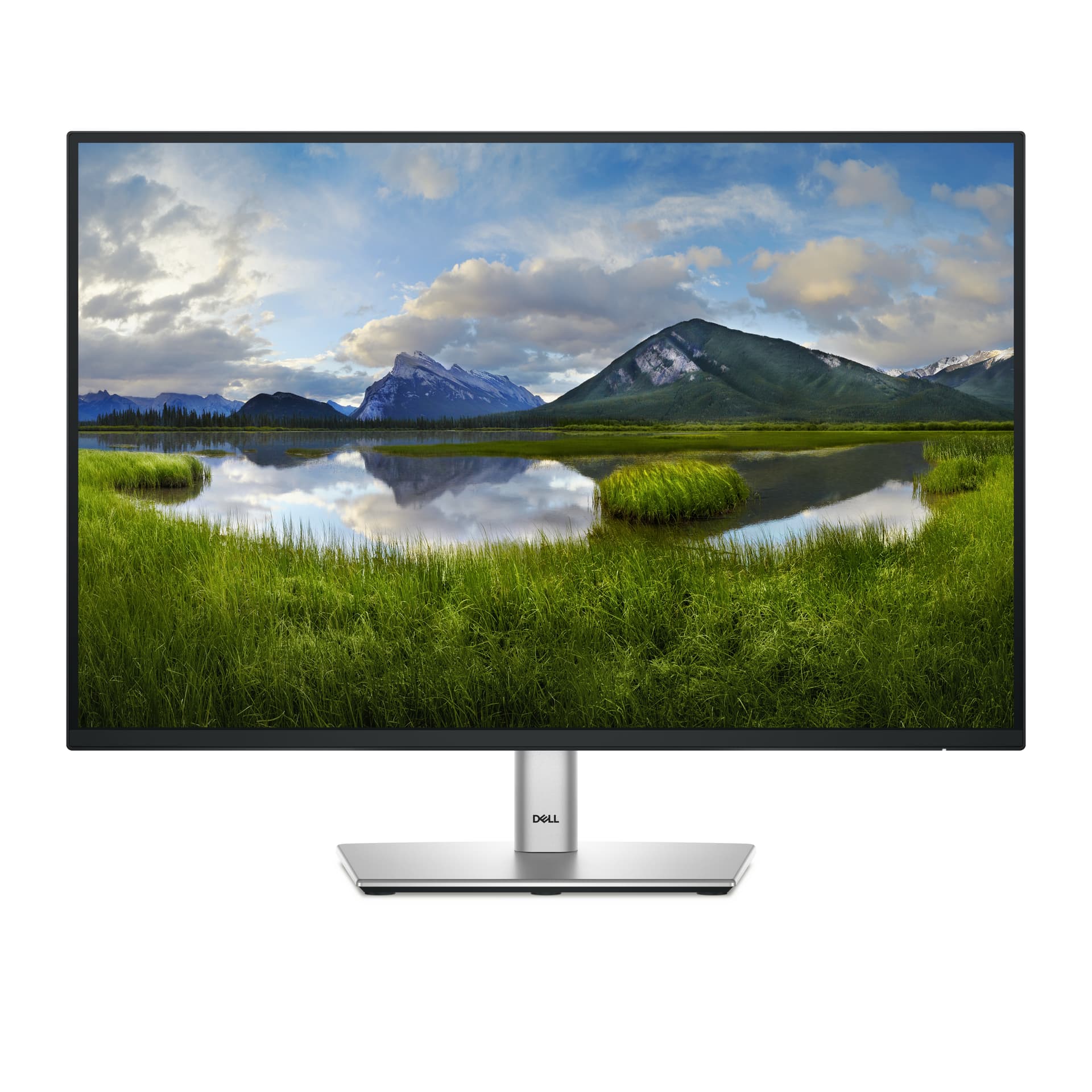 DELL Pro Plus P2425E