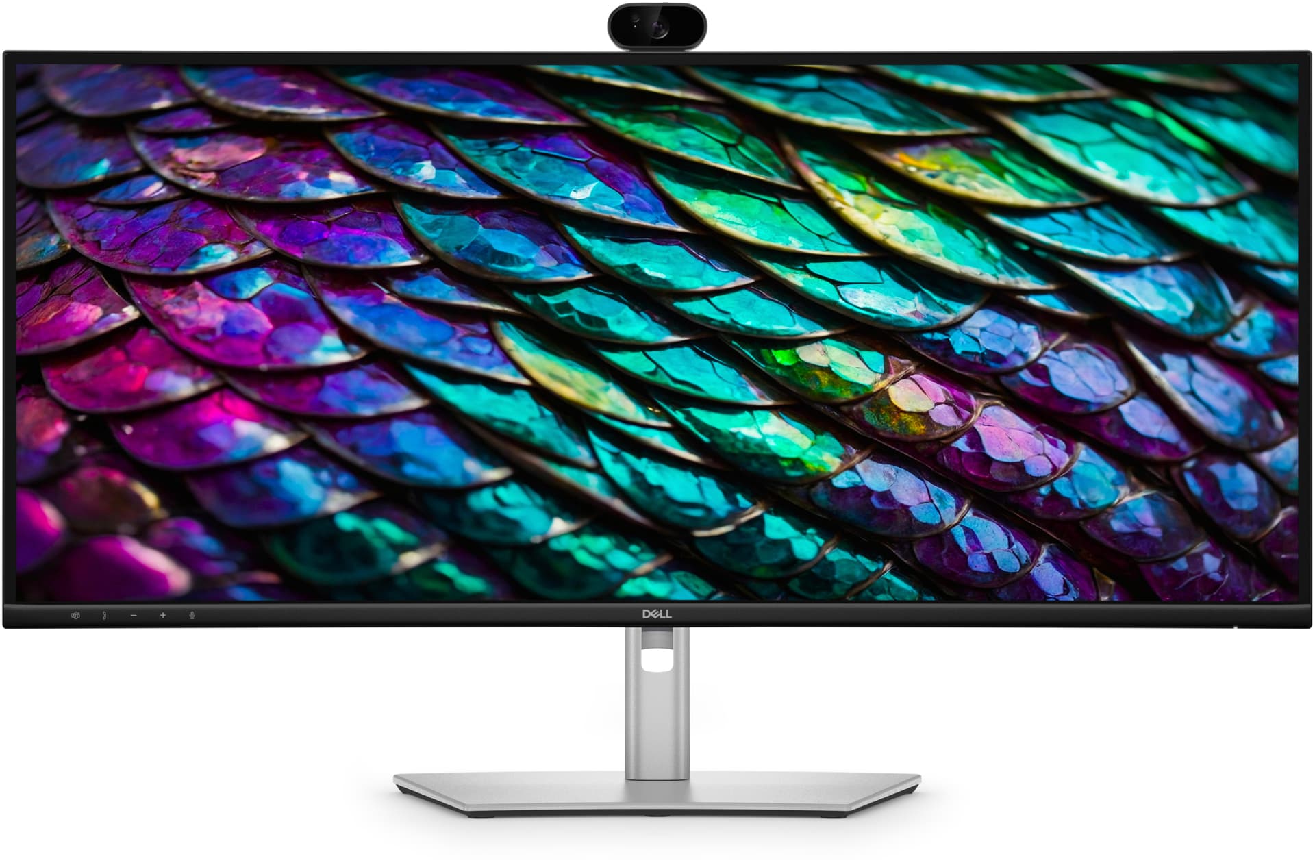 DELL Pro P P3426WEB