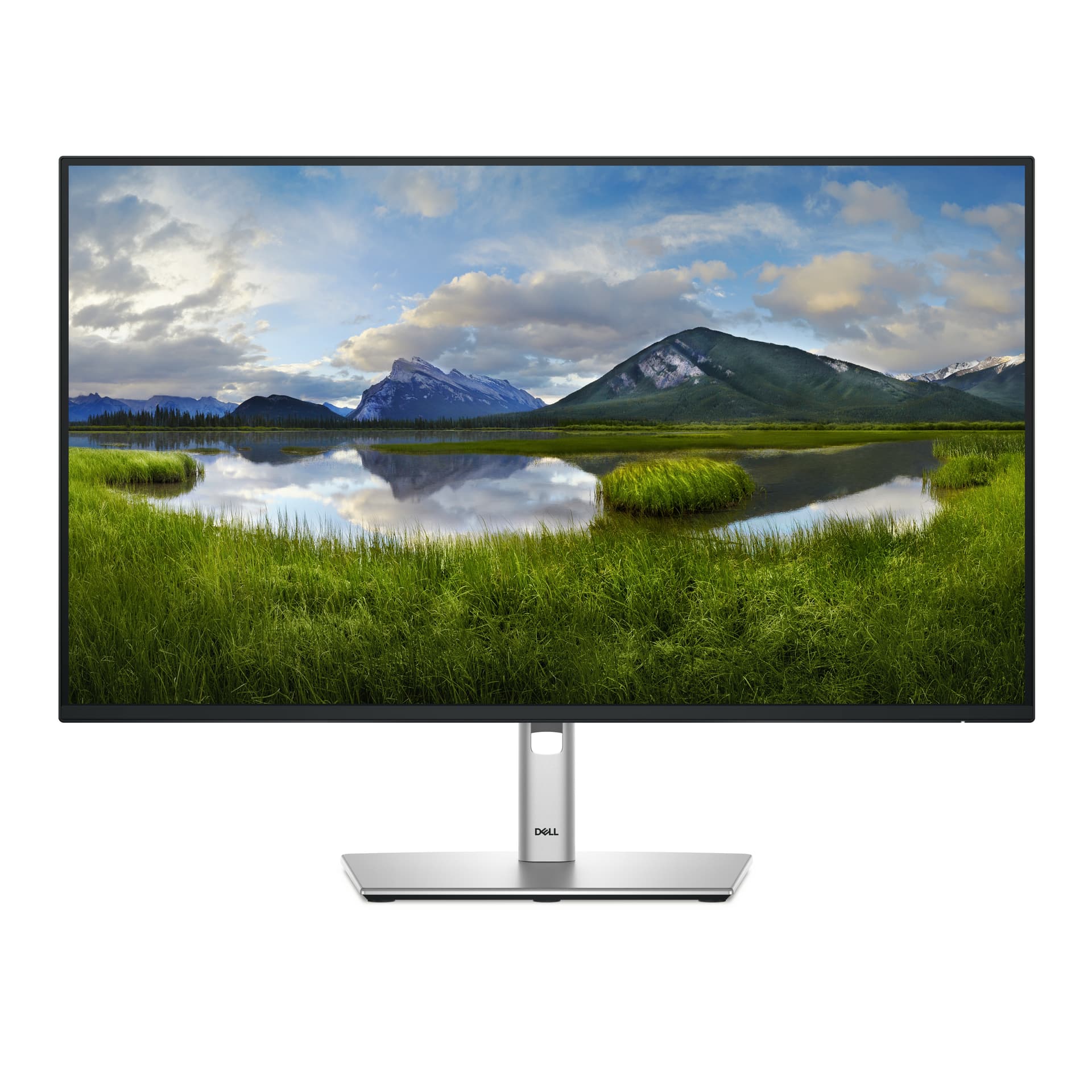DELL Pro Plus P2725H